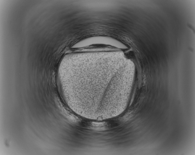 X0000099430457200806061023