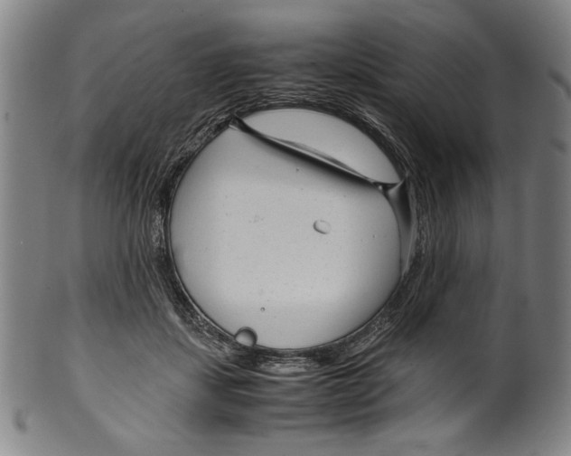 X0000099430459200806061023