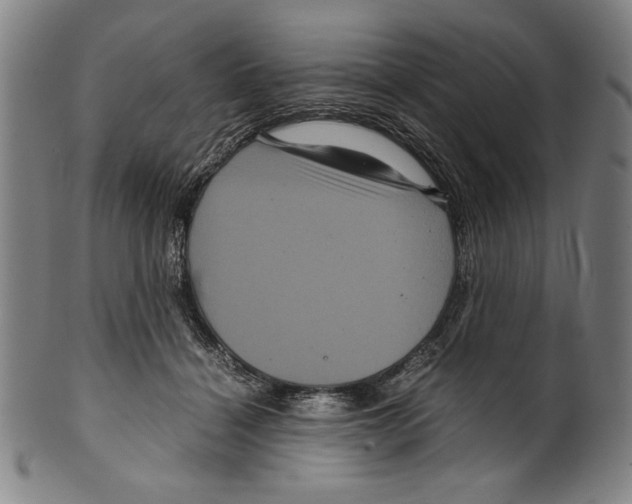 X0000099430460200806061023