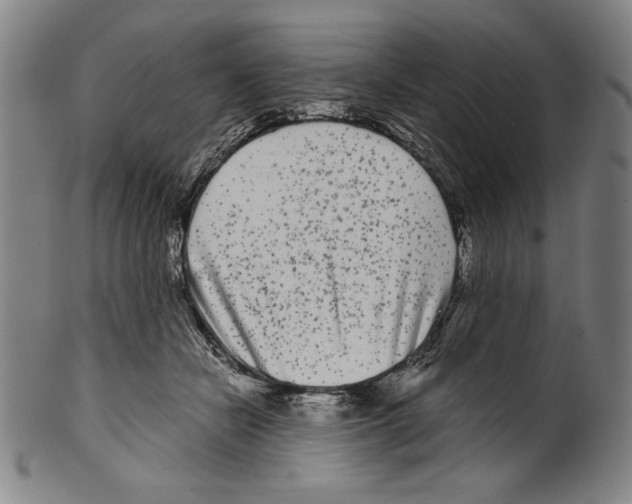 X0000099430462200806061023