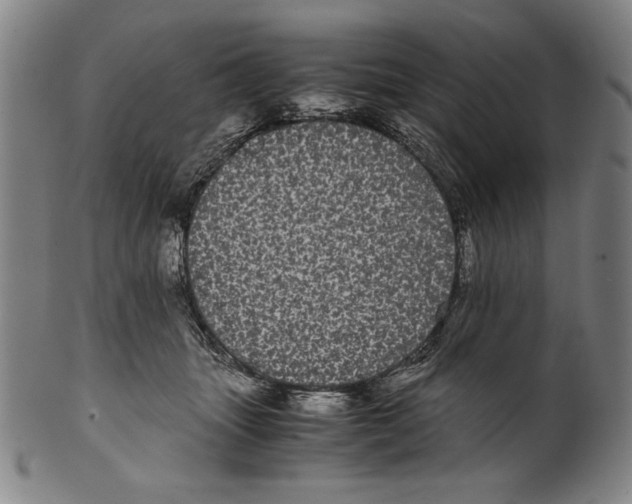 X0000099430463200806061024