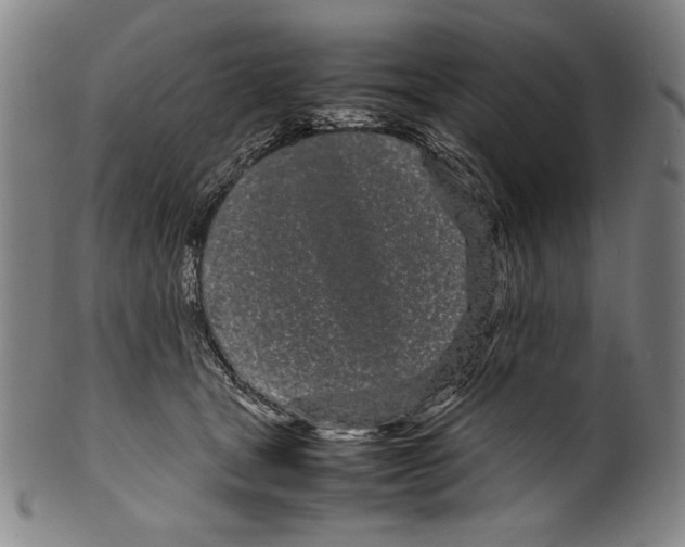 X0000099430465200806061024