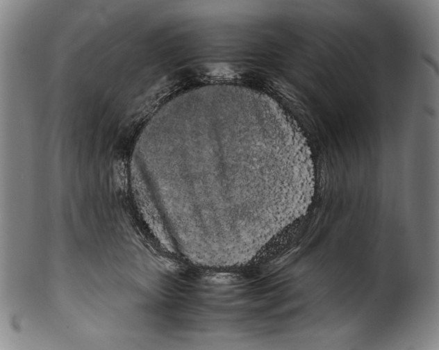 X0000099430467200806061024