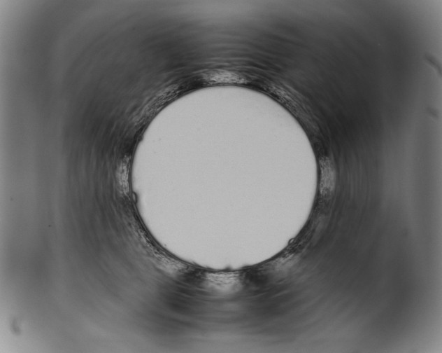 X0000099430469200806061024