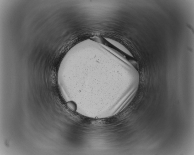 X0000099430470200806061024