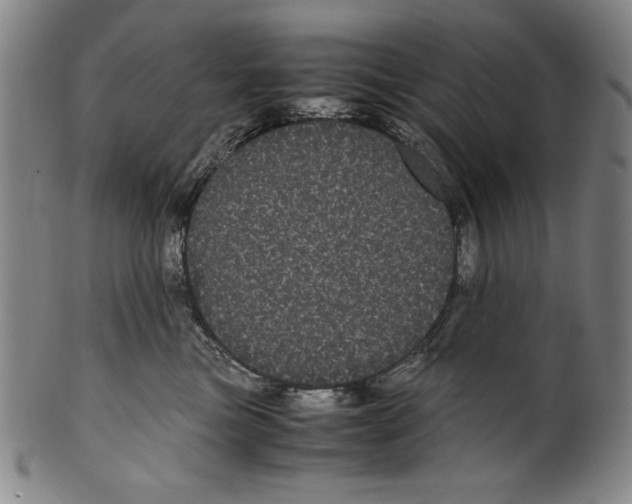 X0000099430473200806061024