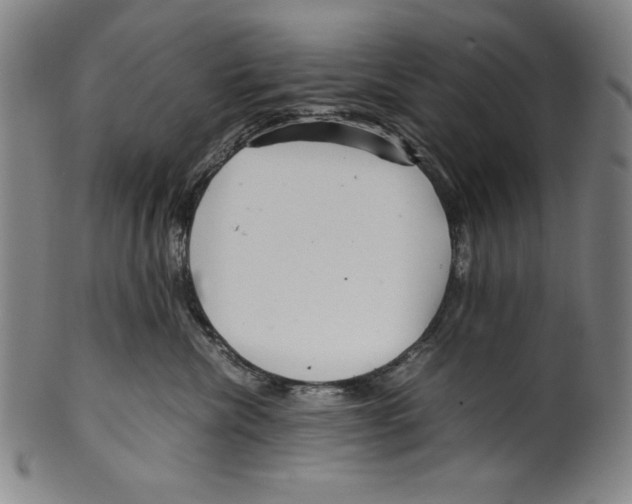 X0000099430476200806061024