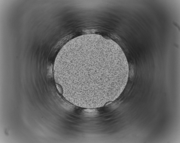 X0000099430477200806061024