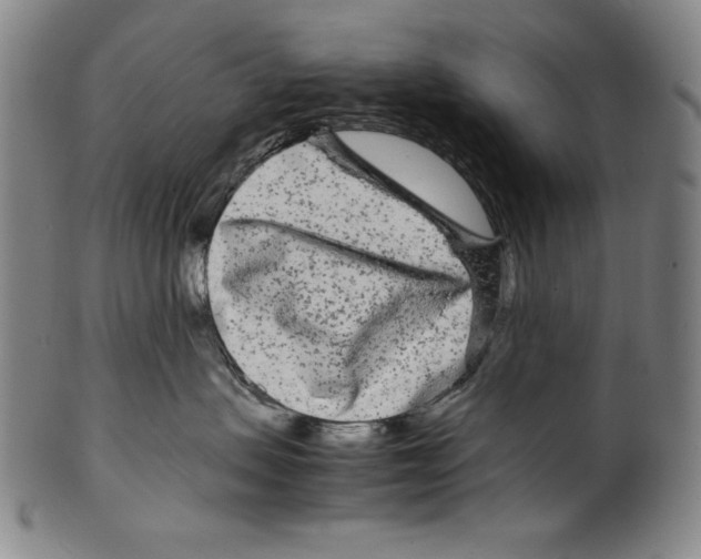 X0000099430479200806061024