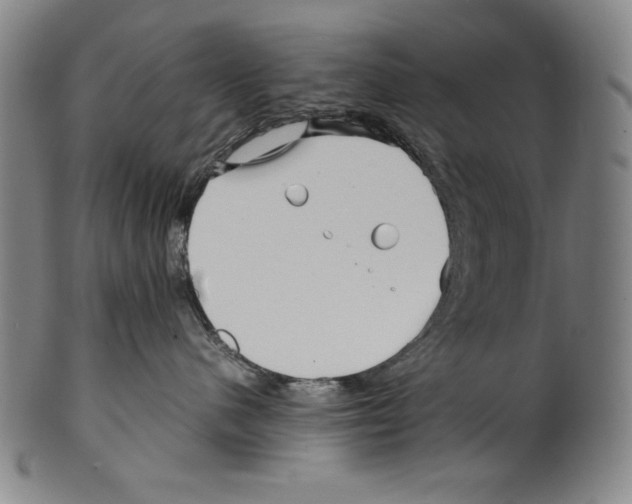 X0000099430480200806061024