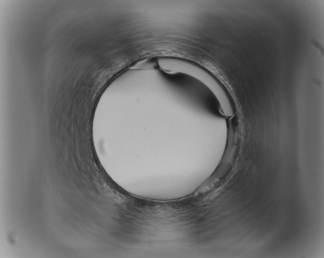 X0000099430481200806061023