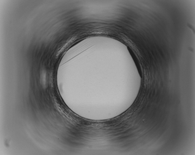 X0000099430482200806061023