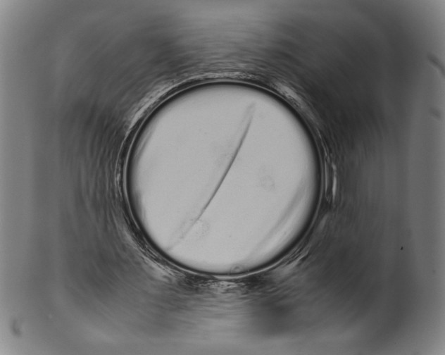 X0000099430483200806061023