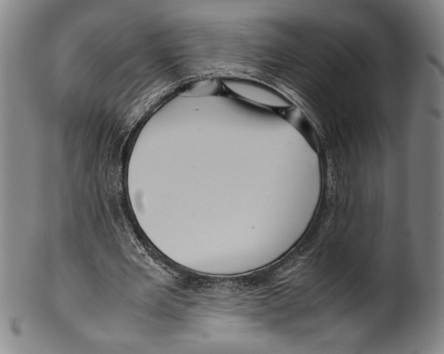 X0000099430485200806061023