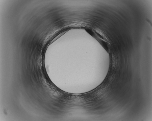 X0000099430486200806061023