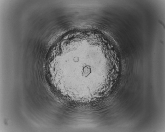 X0000099430487200806061023