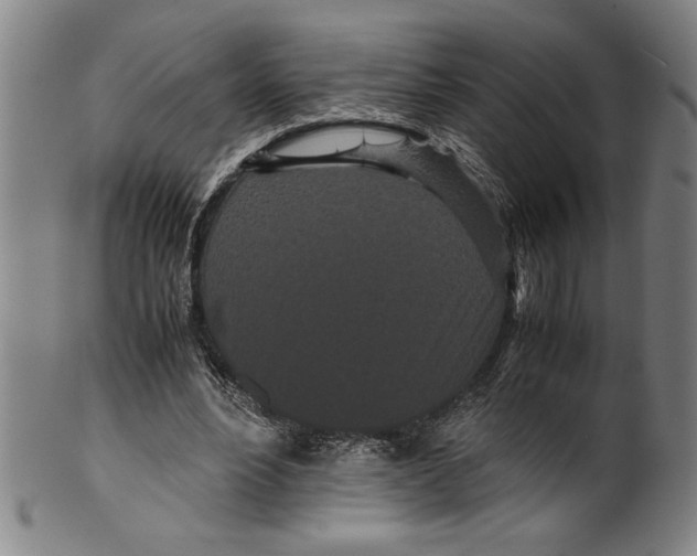 X0000099430488200806061023