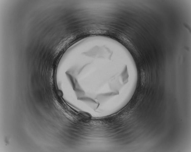 X0000099430490200806061023