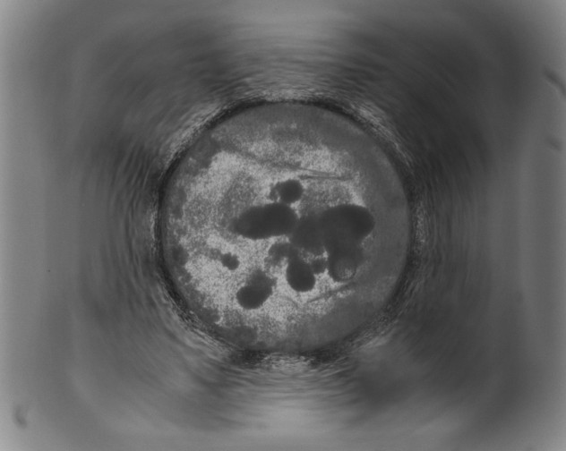 X0000099430491200806061023