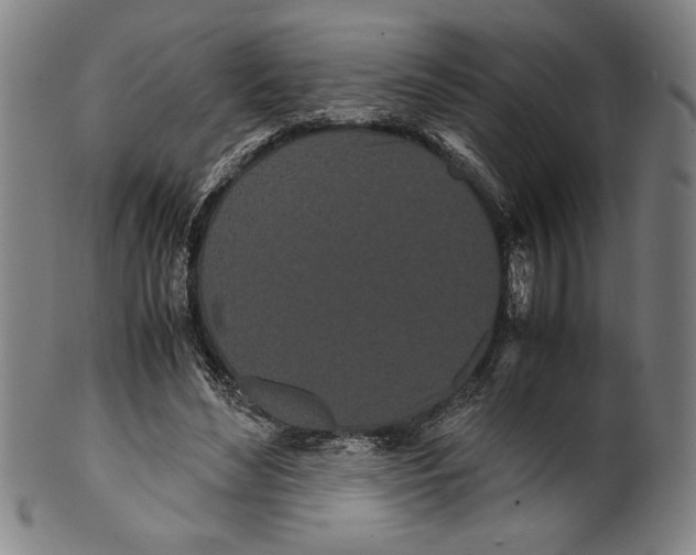 X0000099430492200806061023