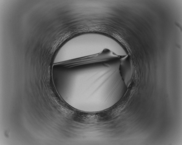 X0000099430493200806061023