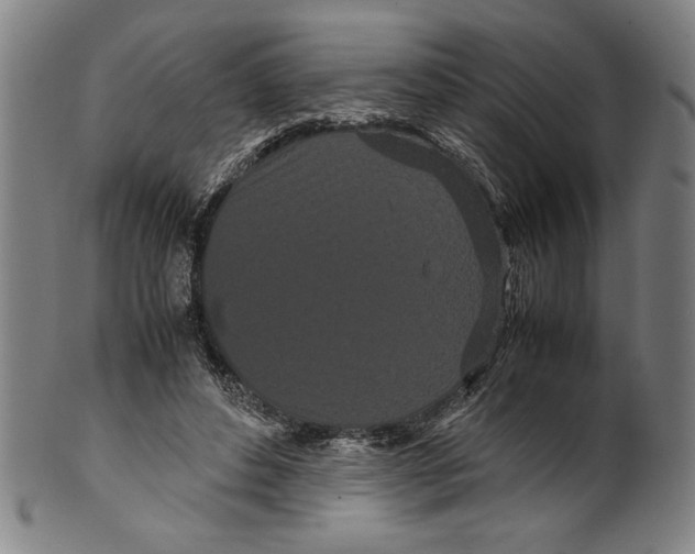 X0000099430496200806061023