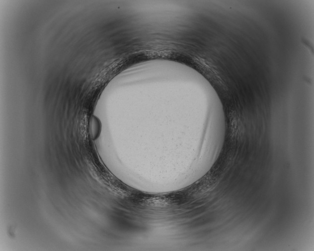 X0000099430498200806061023