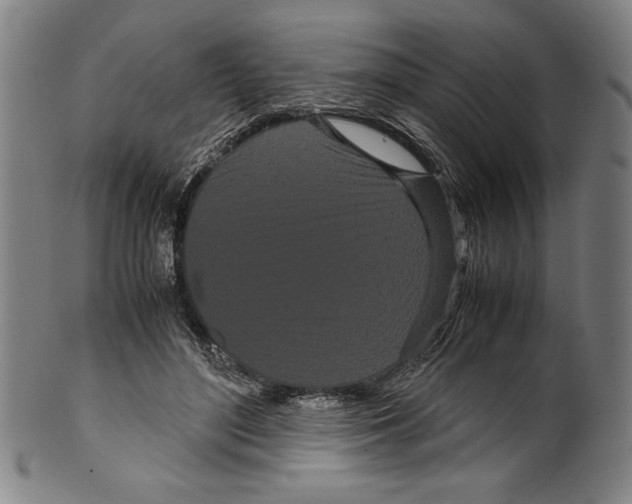 X0000099430500200806061023