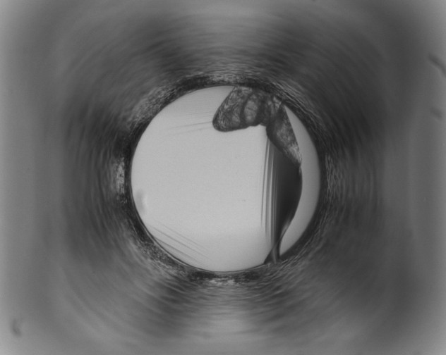 X0000099430502200806061023