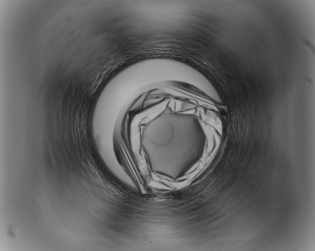 X0000099430504200806061023