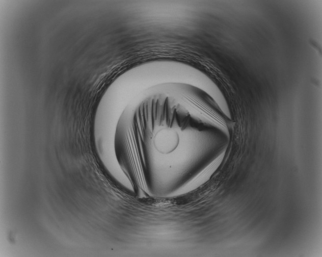 X0000099430505200806061023