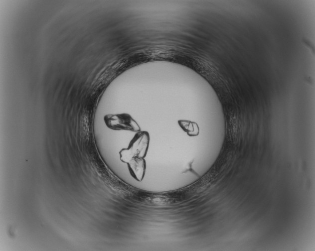 X0000099430506200806061023