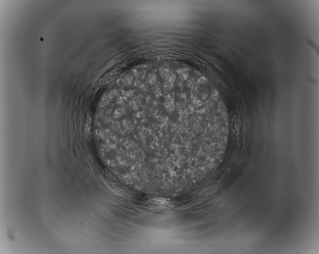 X0000099430507200806061023