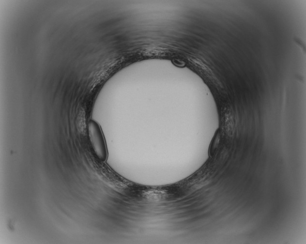 X0000099430508200806061023