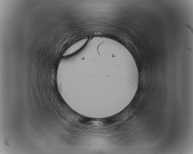 X0000099430509200806061023