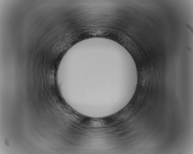 X0000099430510200806061023