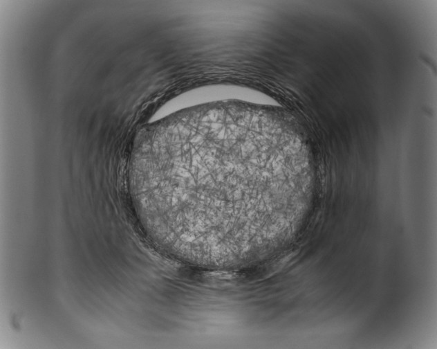 X0000099430511200806061023