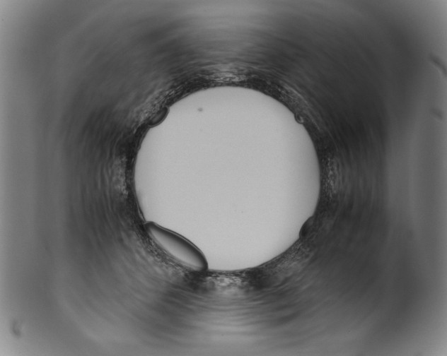 X0000099430512200806061023