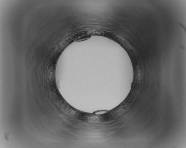 X0000099430513200806061023