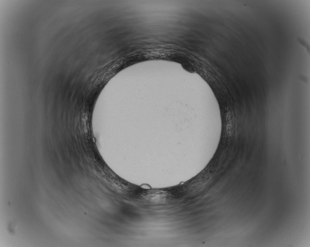 X0000099430514200806061023