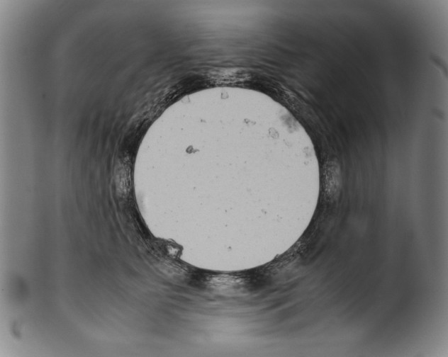 X0000099430515200806061023