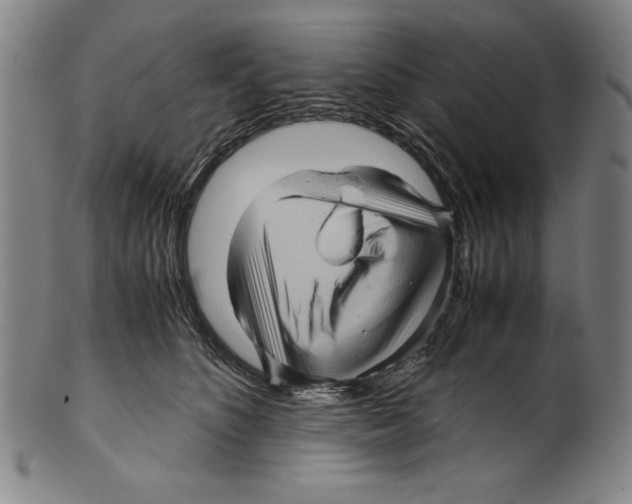 X0000099430516200806061023