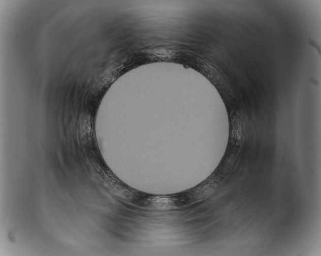 X0000099430518200806061023