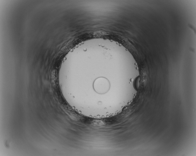 X0000099430519200806061023