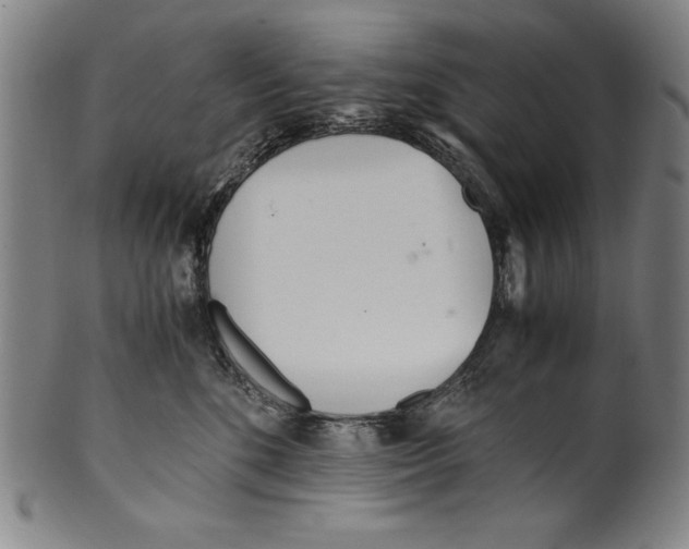 X0000099430520200806061023