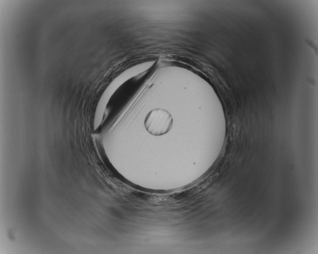 X0000099430521200806061022