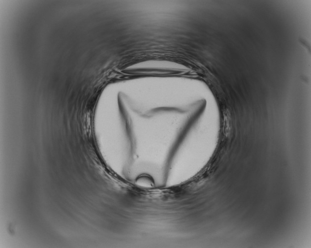 X0000099430523200806061022