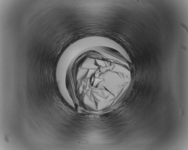 X0000099430524200806061022