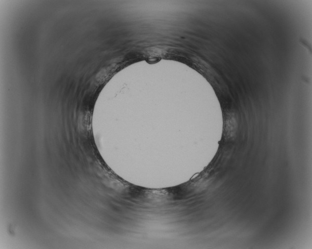 X0000099430525200806061022