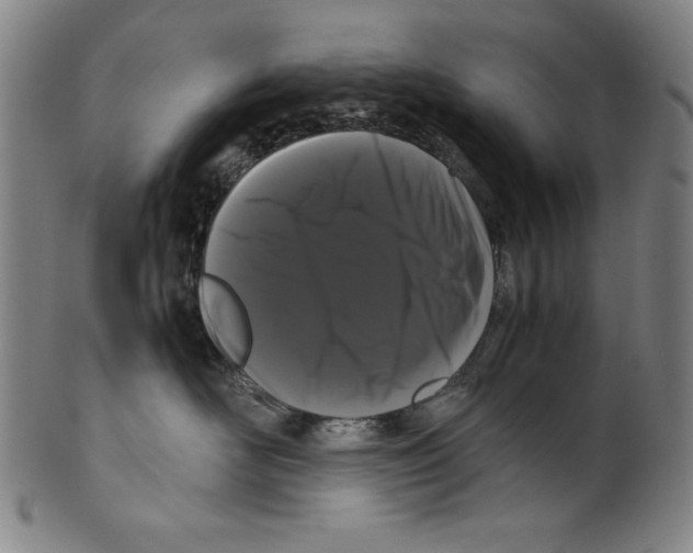 X0000099430526200806061022